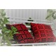Scarlet & Black Welsh tapestry cushions CZ54